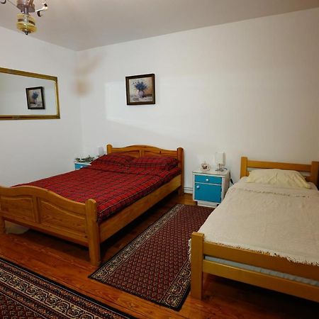 Apartman Carpe Diem Zaječar Zewnętrze zdjęcie